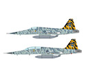 國軍F-5E/F虎斑彩繪雙機組