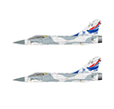 國軍幻象Mirage2000彩繪紀念機雙機組