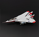Grumman F-14D Super Tomcat 50th Anniversary